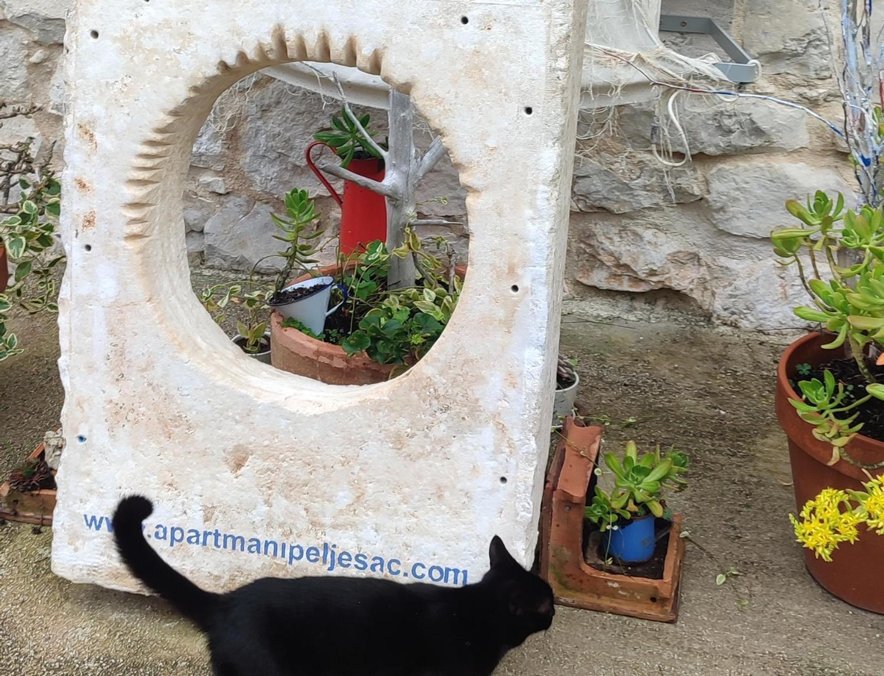 Apartmani Peljesac Sova Sreser Exterior foto